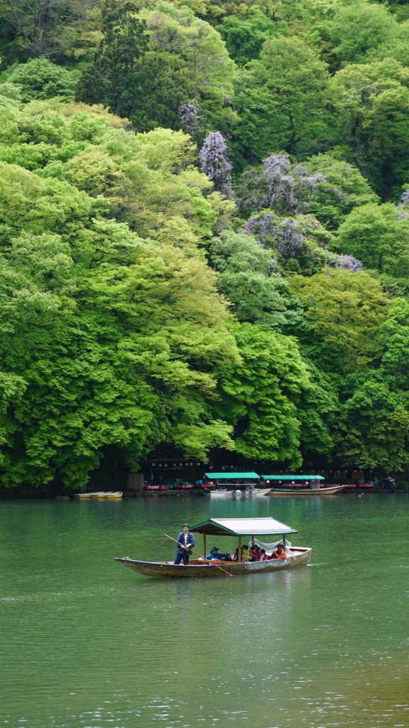 京都　嵐山 渡月橋　船　kagerou studiokatz